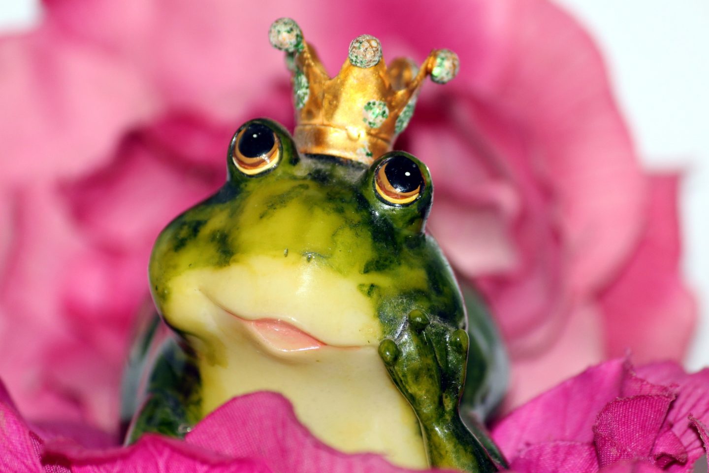 French Kissing Frogs: Dating after Divorce